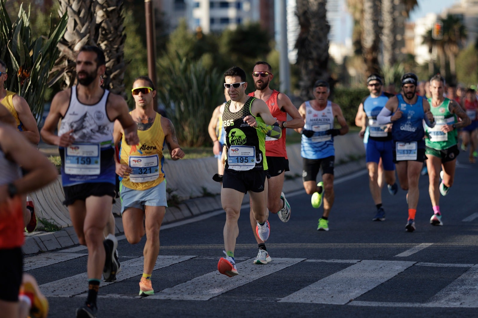 La XXXIII Media Maratón Ciudad de Málaga, en imágenes