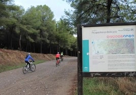 Hallan el resto del esqueleto que se buscaba en Los Montes de Málaga