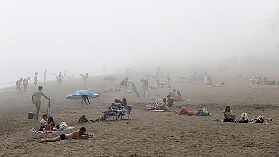El taró irrumpe en una jornada primaveral en Málaga