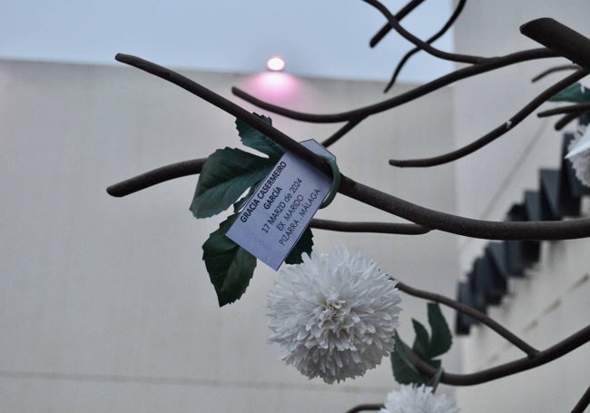 La flor que han colocado en 'el árbol de las ausencias' de Pizarra para honrar la memoria de Gracia C.