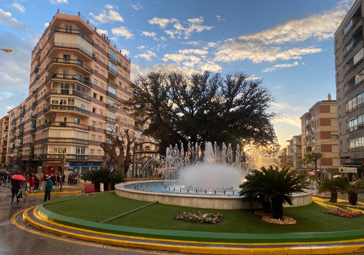 Ficus en el paseo de Andalucía de Vélez-Málaga, en una imagen de archivo.