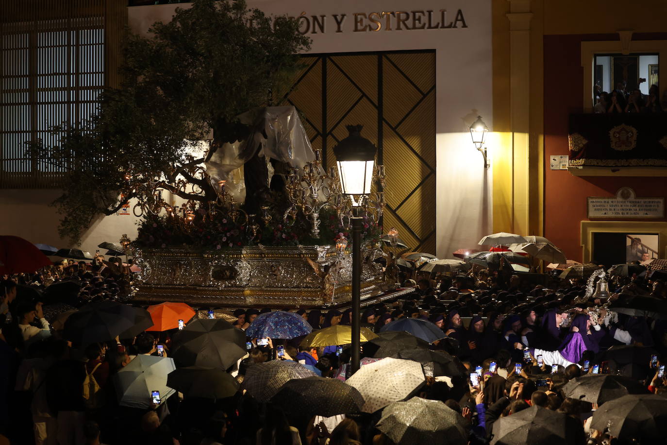 Las mejores imágenes del Domingo de Ramos en Málaga