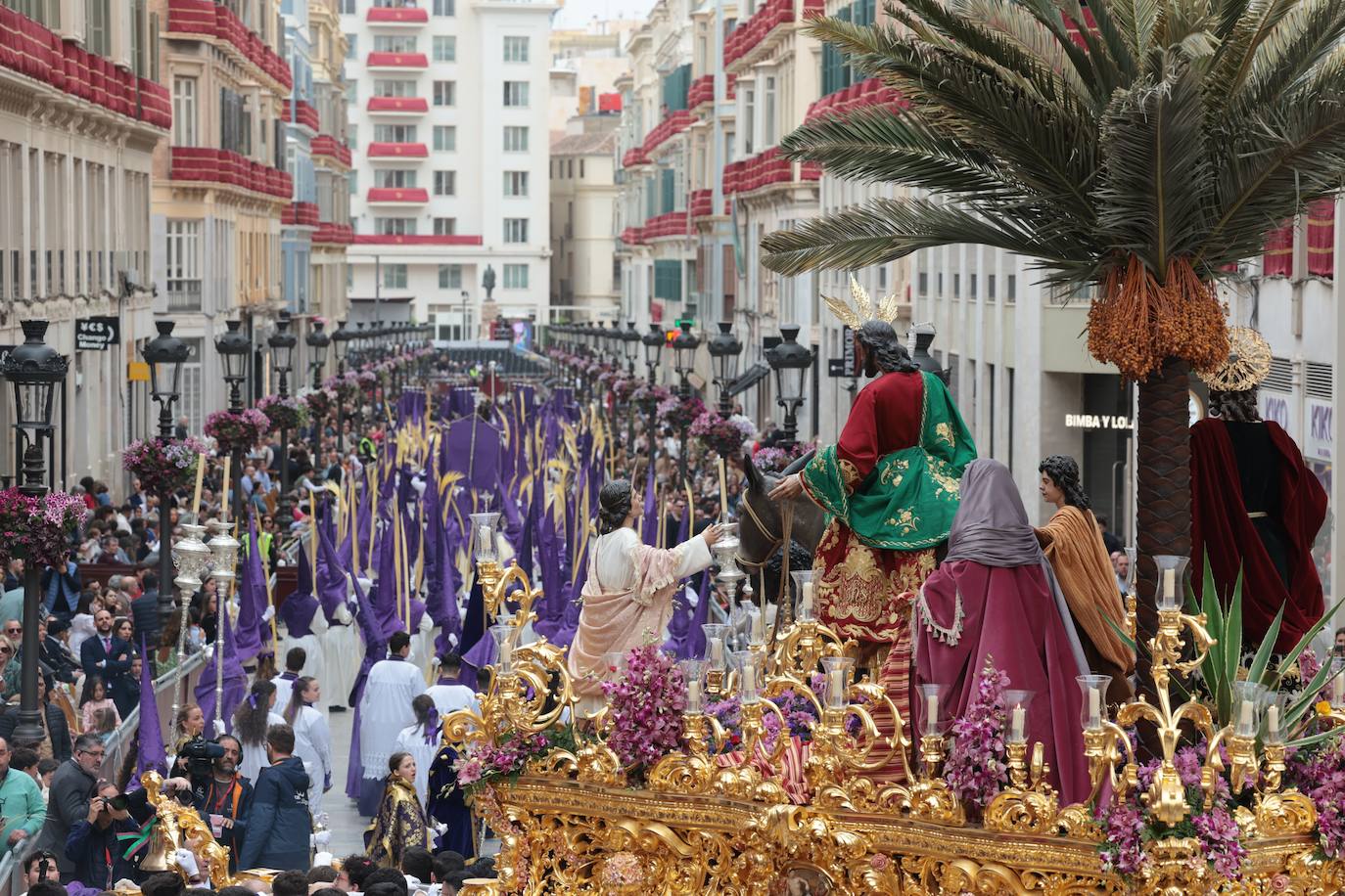 La Pollinica, este Domingo de Ramos en Málaga