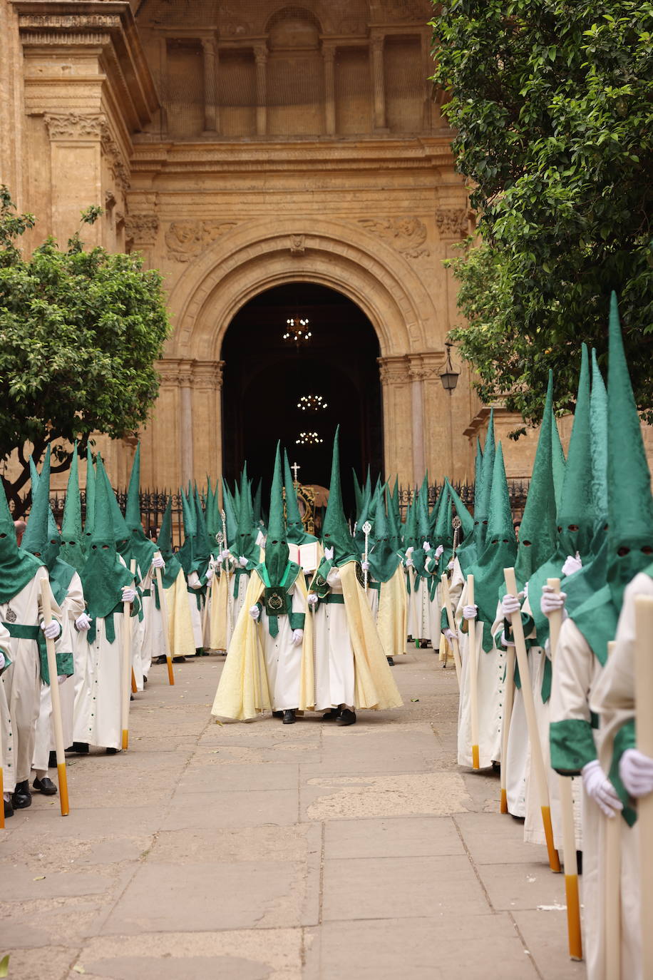 Pollinica, en la Catedral de Málaga, este Domingo de Ramos