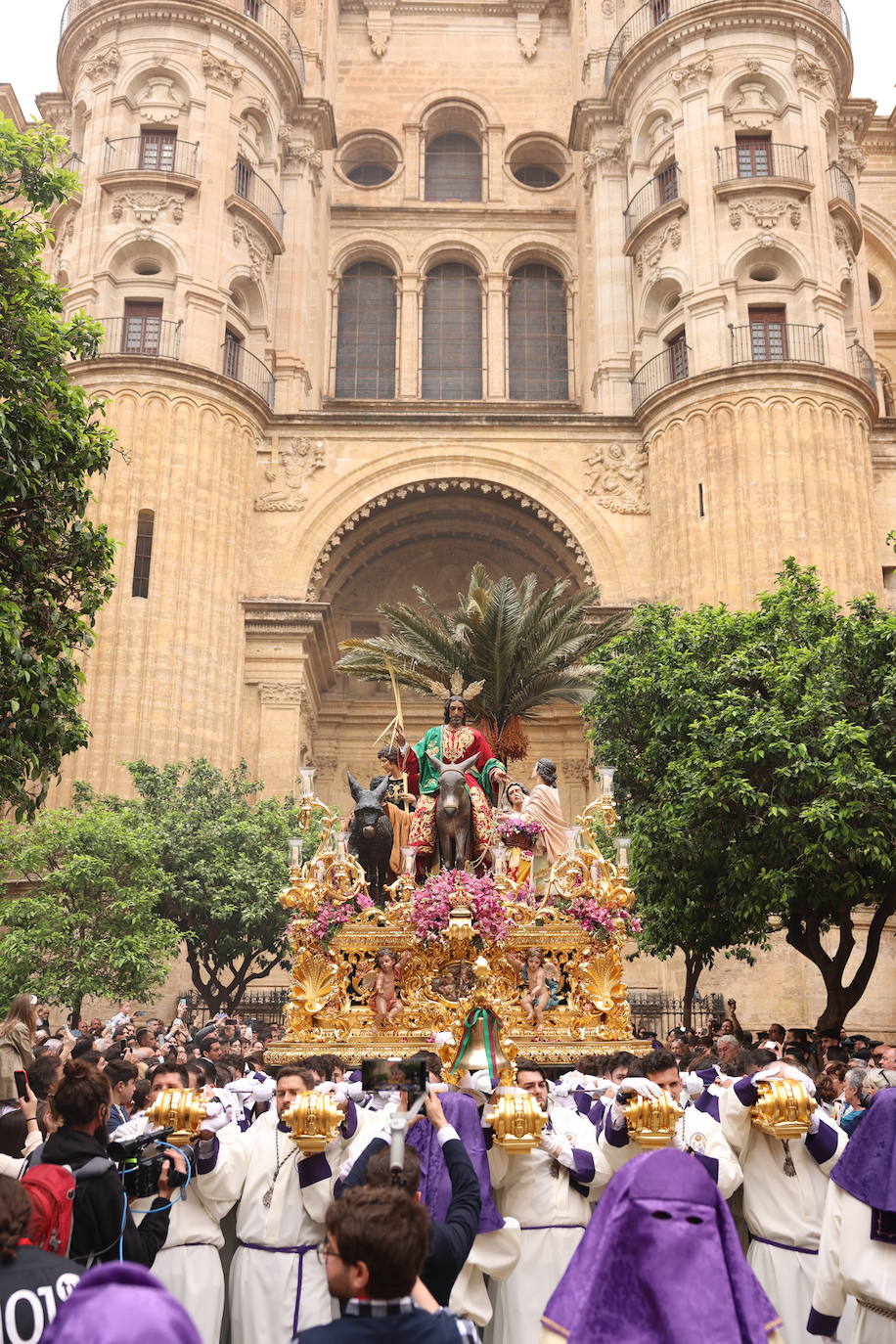 Pollinica, en la Catedral de Málaga, este Domingo de Ramos