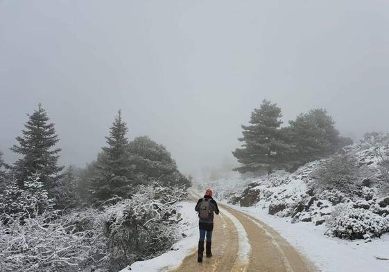 Imagen de la Sierra de las Nieves este Martes Santo.