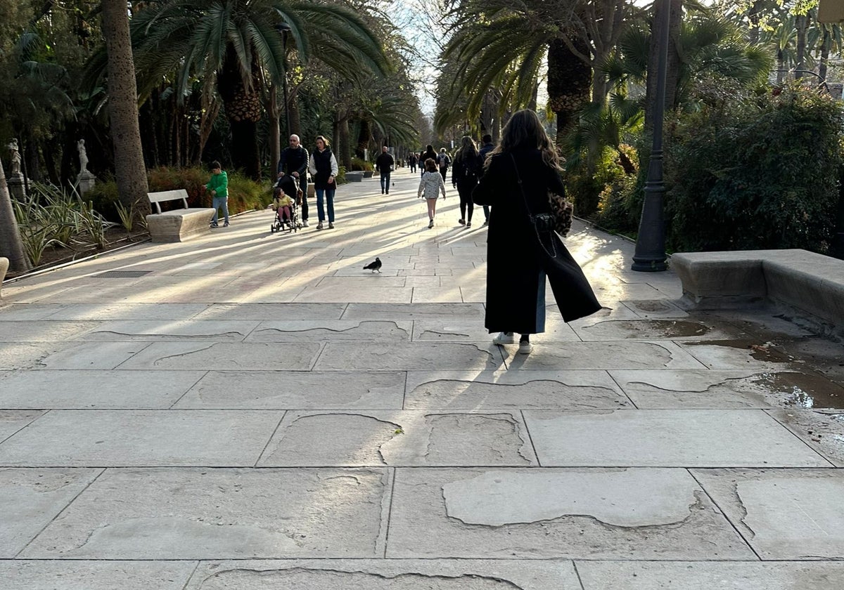 Vista de la parte denunciada del Paseo del Parque.