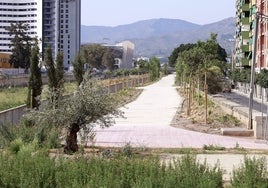 Los paseos habilitados junto al Guadalmedina son utilizados por numerosas personas.