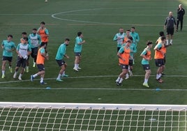 Los jugadores del Málaga, durante un entrenamiento de esta semana.