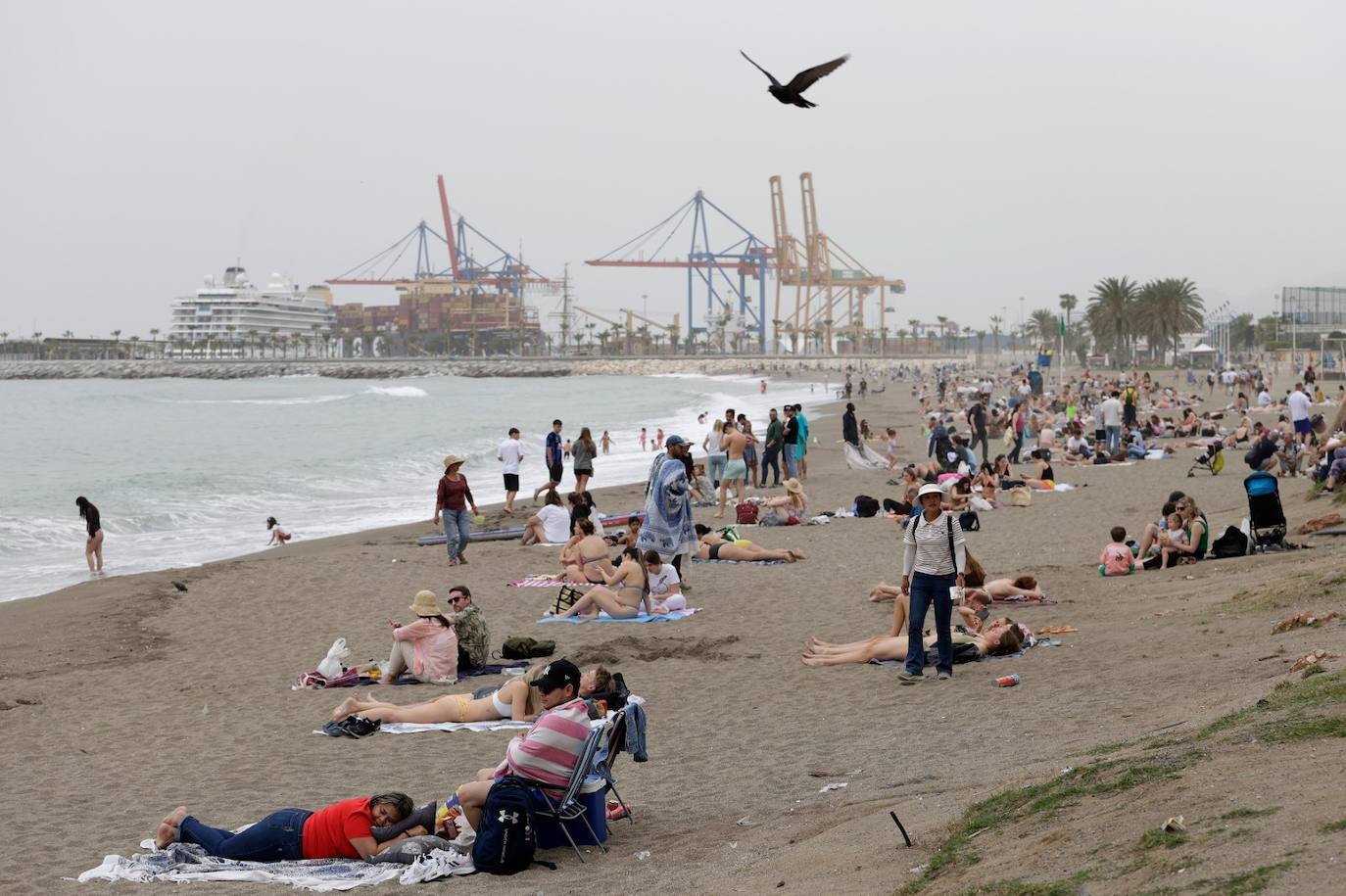 El tiempo casi veraniego llena playas, terrazas y chiringuitos a pesar de la calima en Málaga