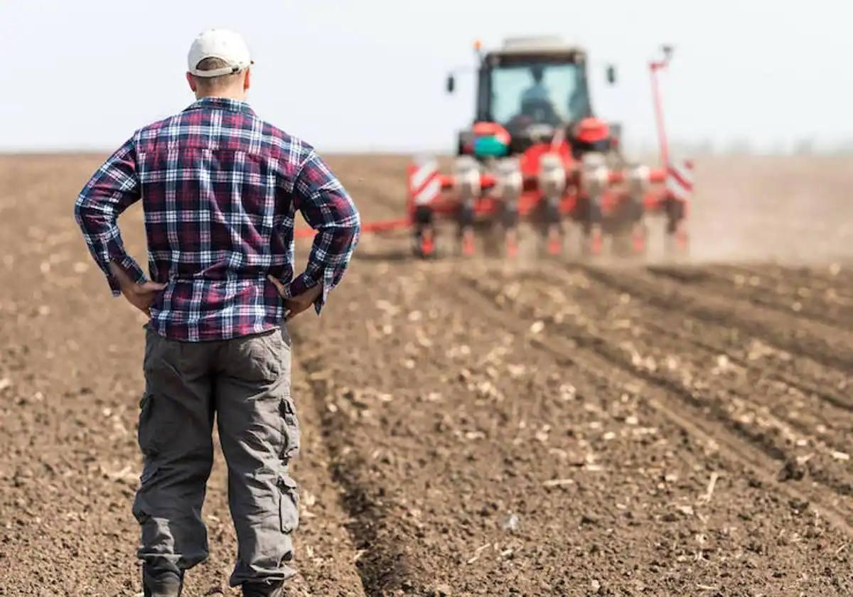 Andalucía aprueba un paquete de ayudas para el campo por más de 500 millones