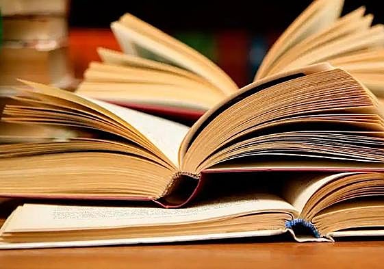 Abierto el plazo para el XVIII Premio Málaga de Novela, dotado con 18.000 euros