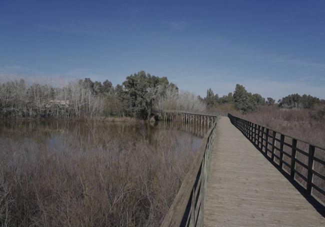 Si se continúa rio arriba tras visitar el mirador se puede llegar al parque de las Doblas