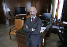 El subdelegado del Gobierno, Javier Salas, en su despacho.