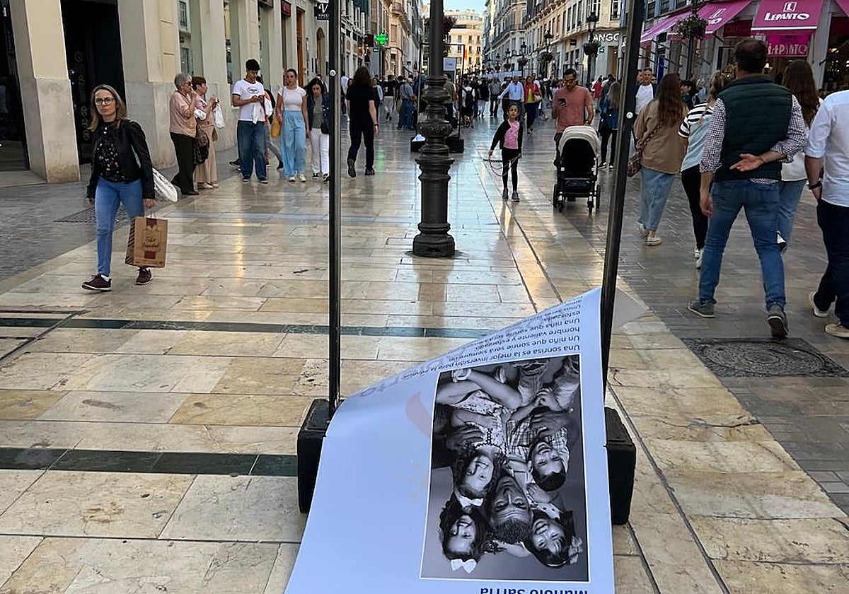 Uno de los mupis, arrancado casi al completo.