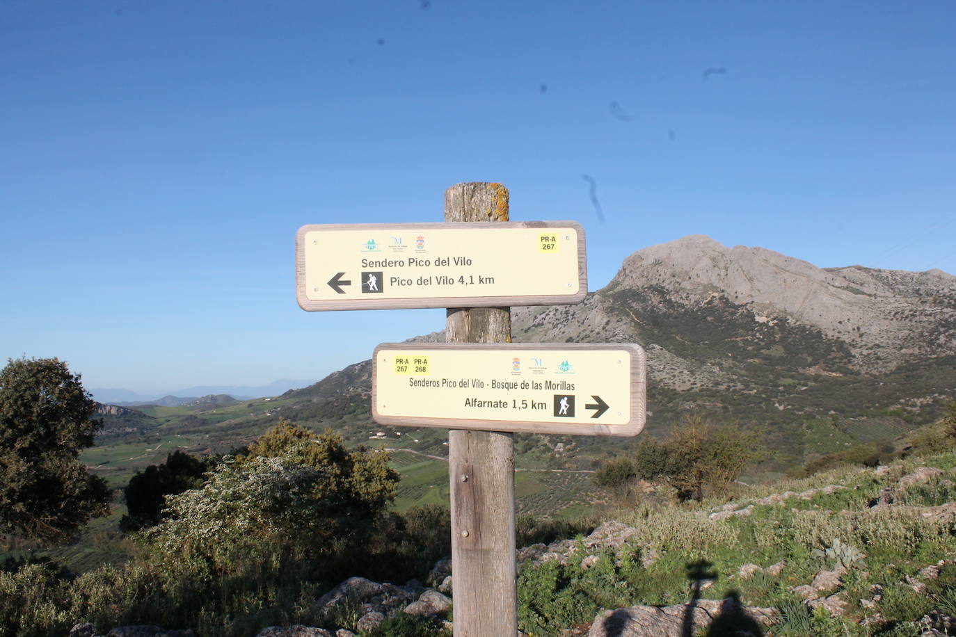 Punto donde se separa esta ruta de la del Bosque de las Morillas.