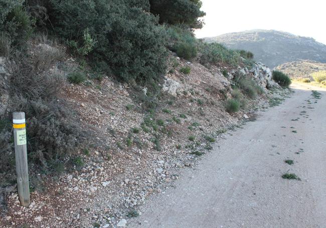 Bifurcación a la izquierda junto a la sierra de Enmedio