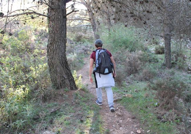 Ascenso por sendero estrecho en el pinar