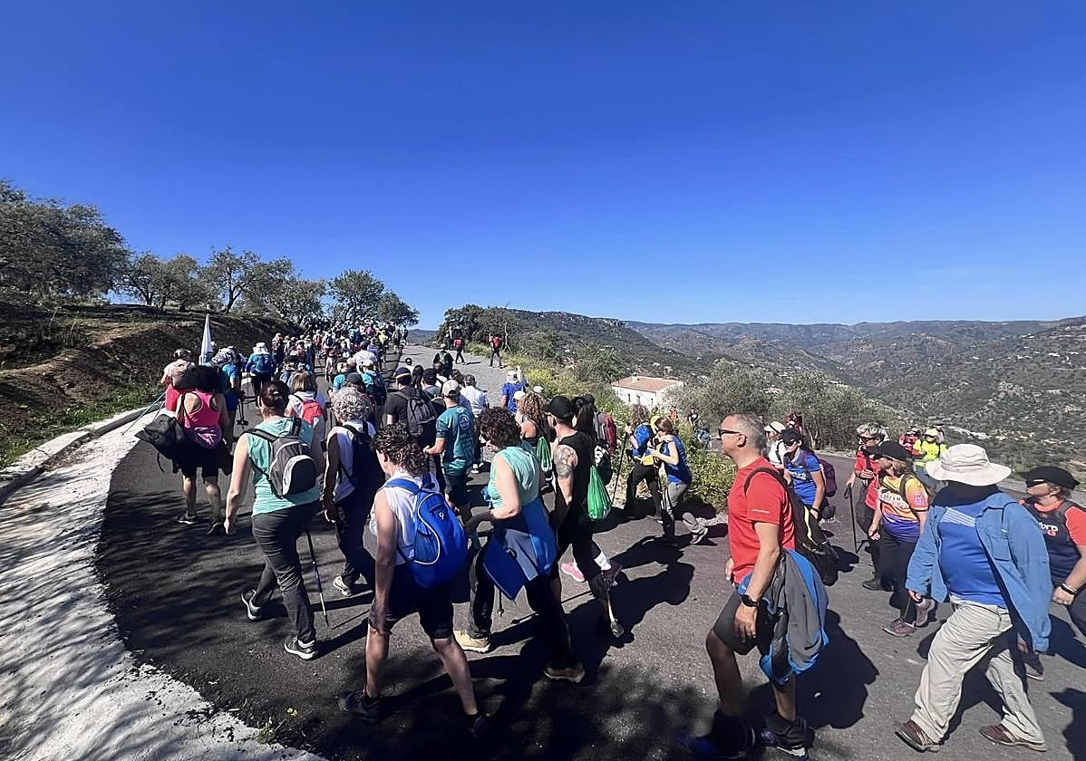Imagen principal - Fotografías de la jornada.
