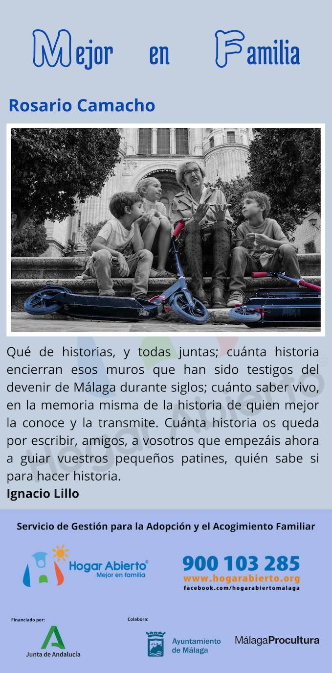 Todas las fotos de la exposición destrozada de Hogar Abierto en la calle Larios de Málaga