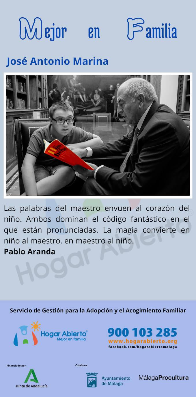 Todas las fotos de la exposición destrozada de Hogar Abierto en la calle Larios de Málaga