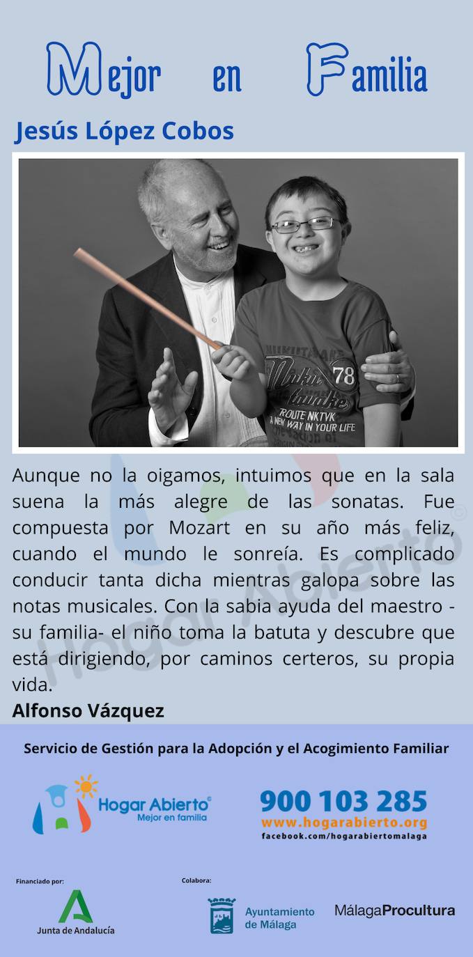 Todas las fotos de la exposición destrozada de Hogar Abierto en la calle Larios de Málaga