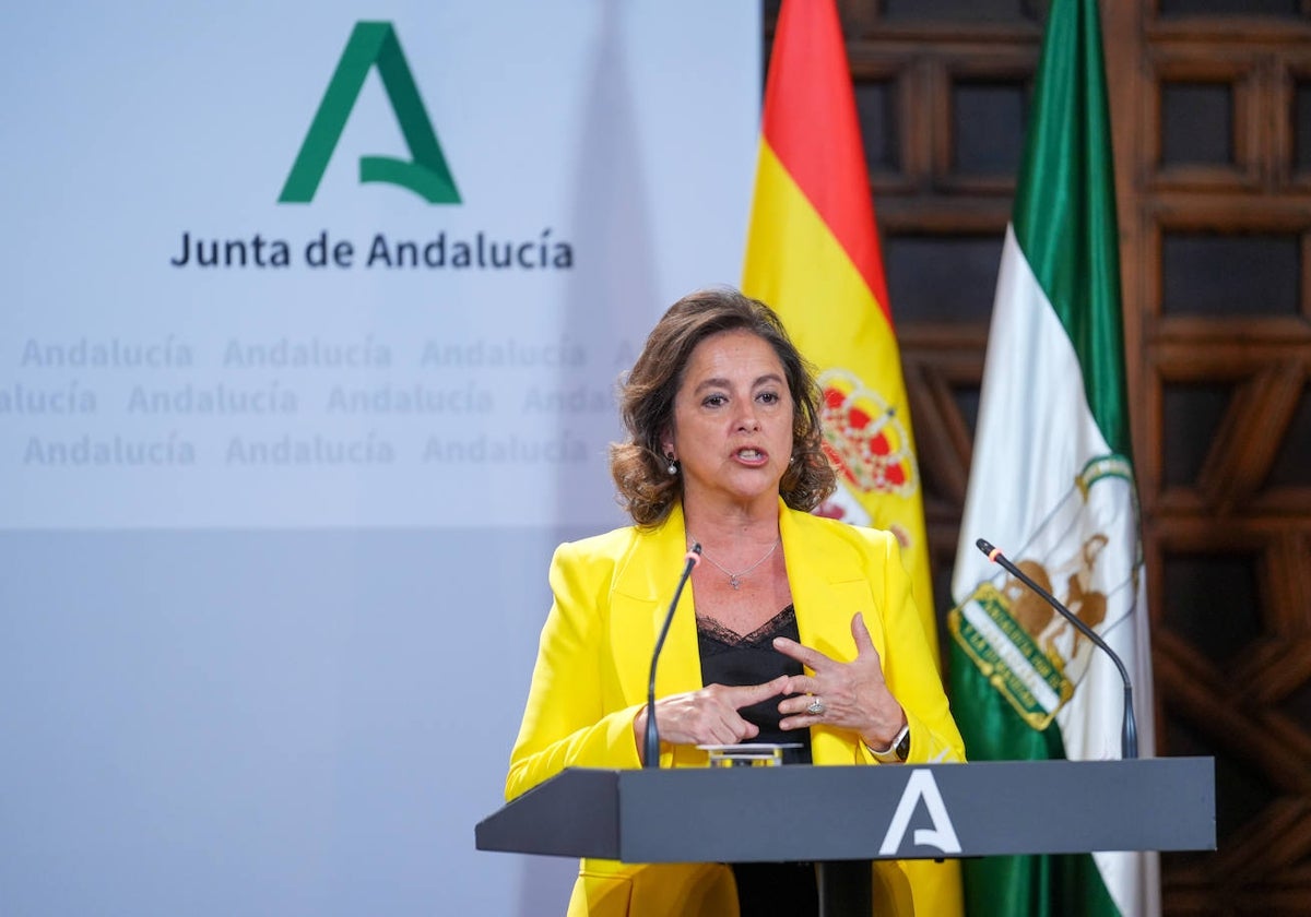 Catalina García, consejera de Salud y Consumo.