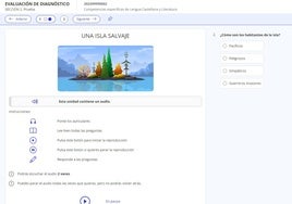 Ejemplo de una de las pruebas para evaluar las competencias en Lengua.