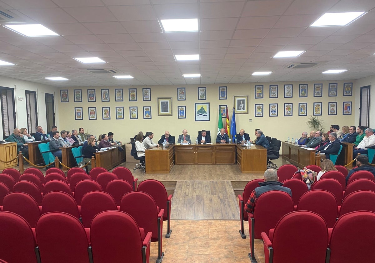 Imagen de un pleno de la Mancomunidad Oriental celebrado en esta legislatura.