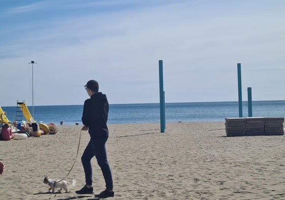 U turista pasea con su perro por la playa de La Carihuela, en Torremolinos.