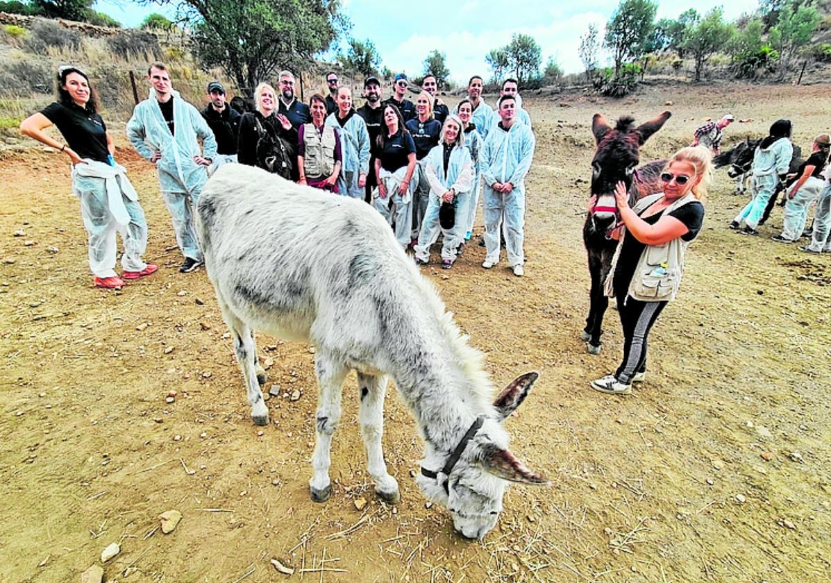 Actividad en un hogar para burros abandonados, en Mijas.