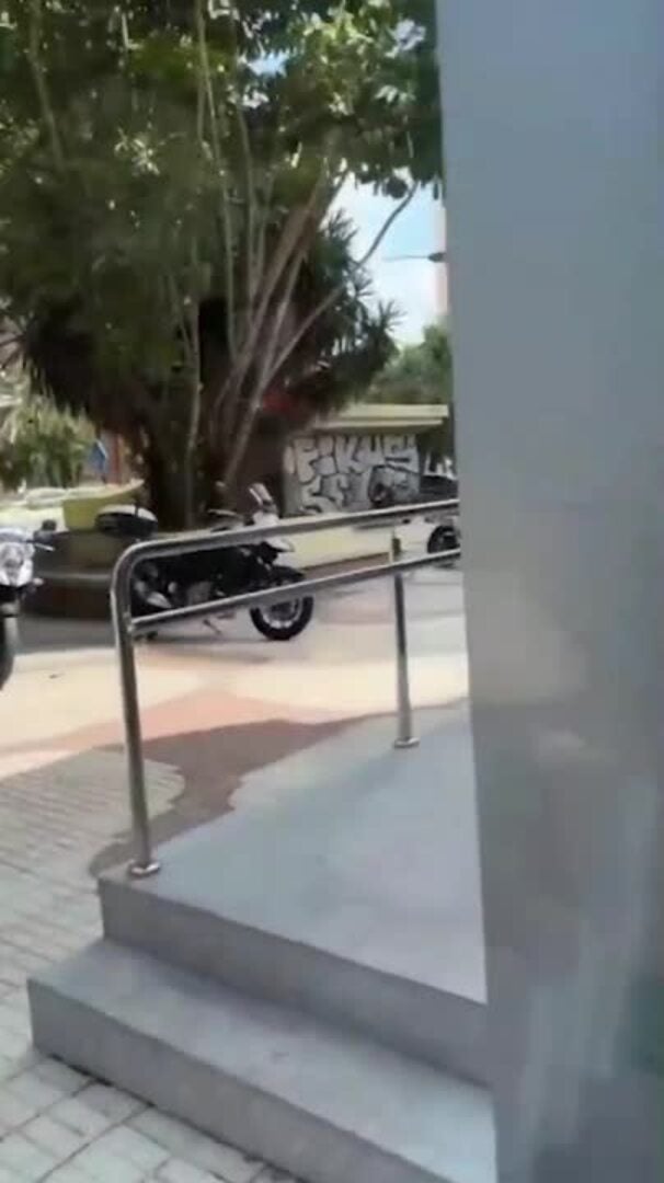 Detenido en Málaga el cerebro de los Dalton