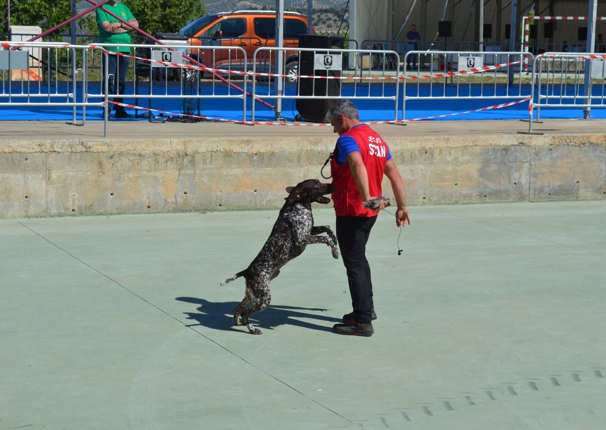 Imagen secundaria 1 - En la primera imagen, María Garrido junto a su hija y su Caniche toy; en la segunda imagen, la exhibición por parte de Adiestramiento Canino Scan, y en la tercera imagen, José Manuel Salmoral junto a sus Bretones de Trassiera.