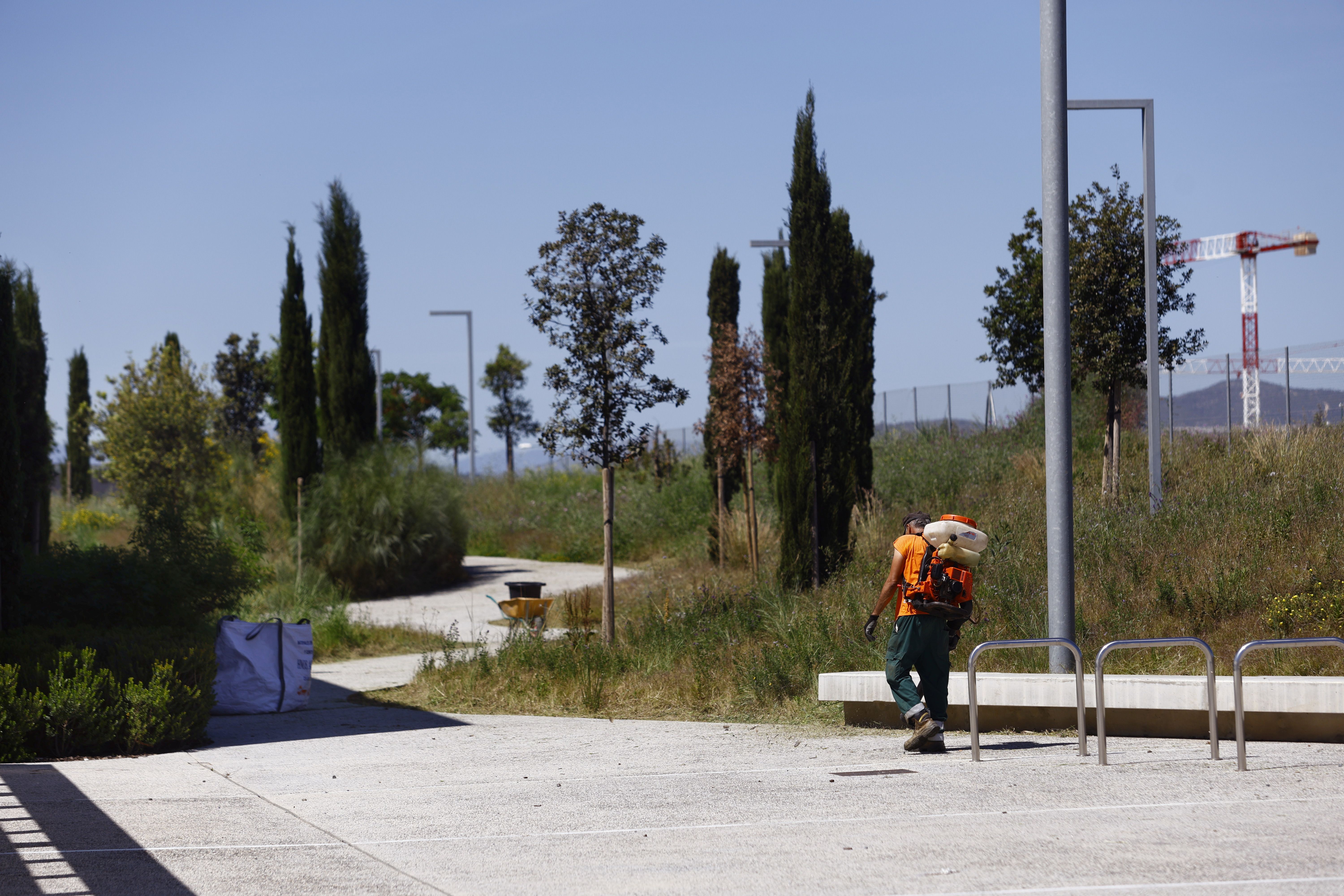 Se ha realizado un proyecto paisajístico en la zona exterior y los patios de forma que se intenta convertir la zona en un pequeño vergel, en el que destacan y abundan las especies autóctonas como la encina (Quercus ilex), alóctonas como el almendro (Prunus amygdalus), y destacando especialmente la presencia de leguminosas.
