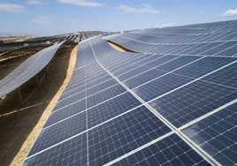 Un parque de paneles solares fotovoltaicos.