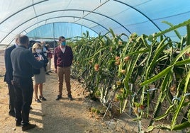 Imagen de archivo de una visita a la finca experimental de Algarrobo.