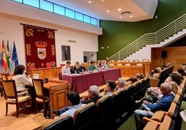 Reunión de la Mesa de Trabajo y Coordinación Municipal Interinstitucional y Social contra la Violencia de Género de Torremolinos.