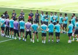 El entrenador del Málaga Pellicer da una charla a la plantilla antes de un entrenamiento de esta semana en el campo principal de La Rosaleda.