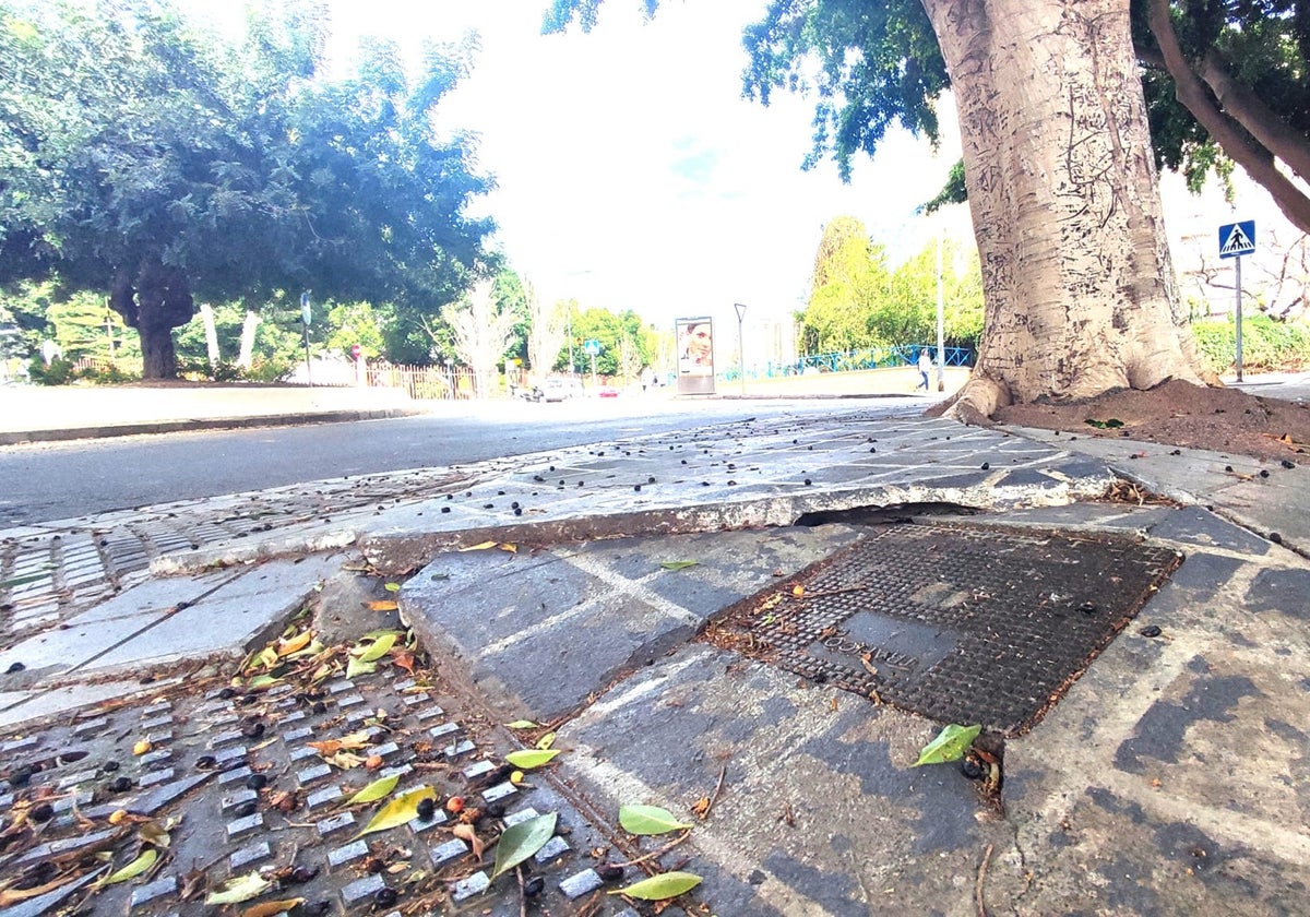 Estado de las aceras en la zona denunciada.