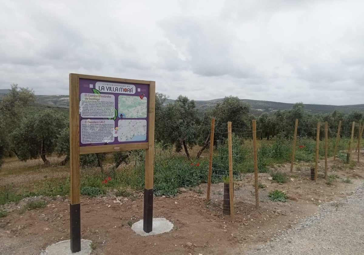 Las nuevas señales instaladas por el pueblo.