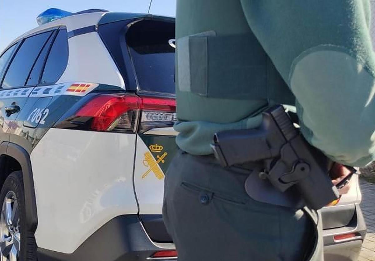 Cae una red asentada en Málaga que usaba vehículos de transporte de caballos para traficar con droga