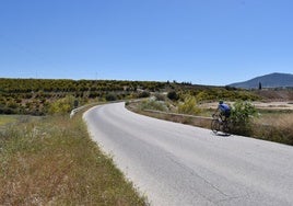 Un ciclista circula por la carretera de la Vía.