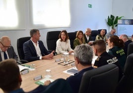 Navarro durante la reunión con el Comité Asesor del Plan Infoca en Málaga.