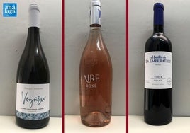 La cata: los vinos destacados de la tercera semana de mayo