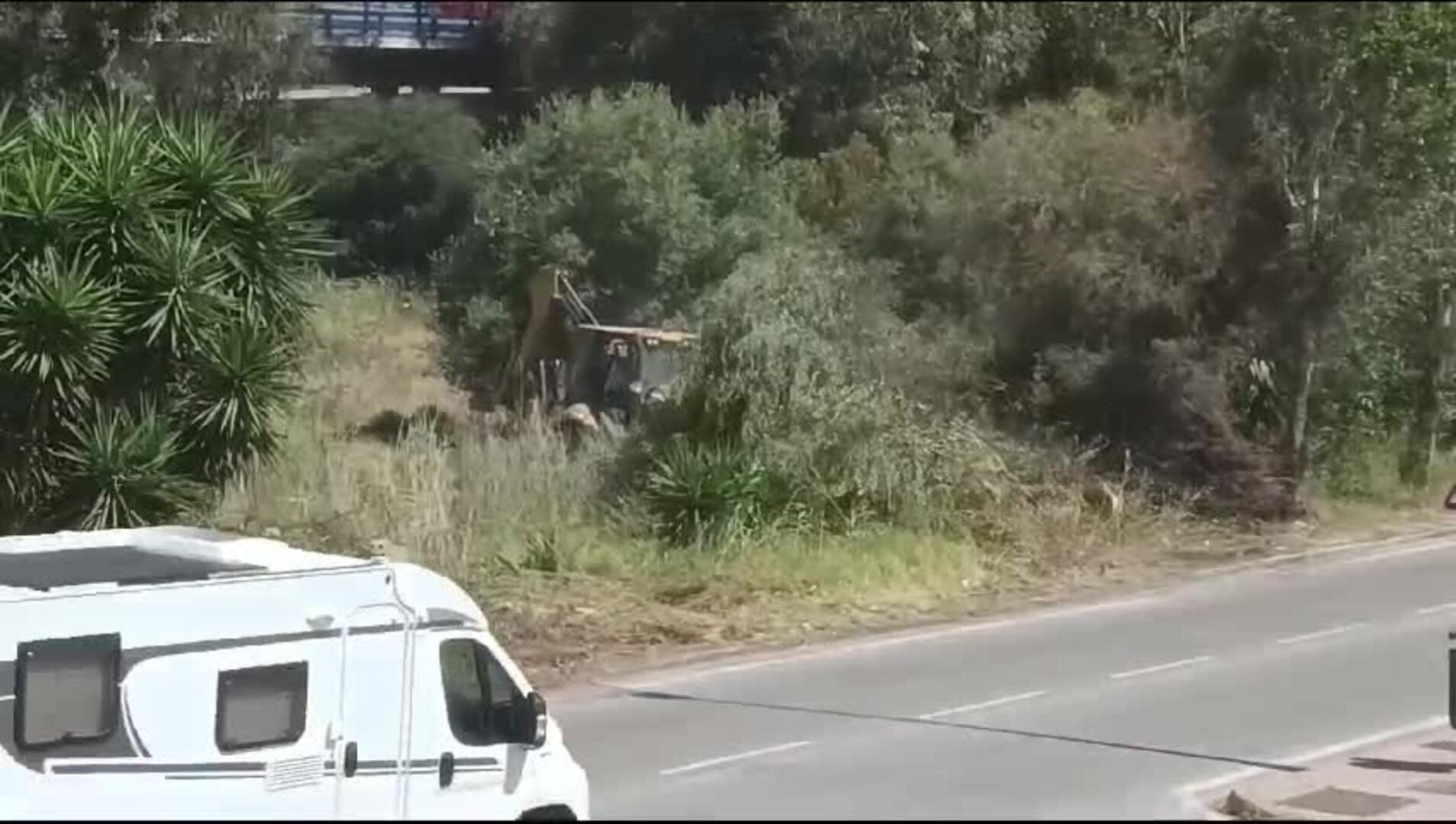 Vecinos de Málaga denuncian la «tala indiscriminada» de árboles en la ...