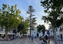 Imagen del emblemático Paseo Balcón de Europa, con el árbol cerote, de más de 130 años de antigüedad, una araucaria plantada a finales del siglo XIX.