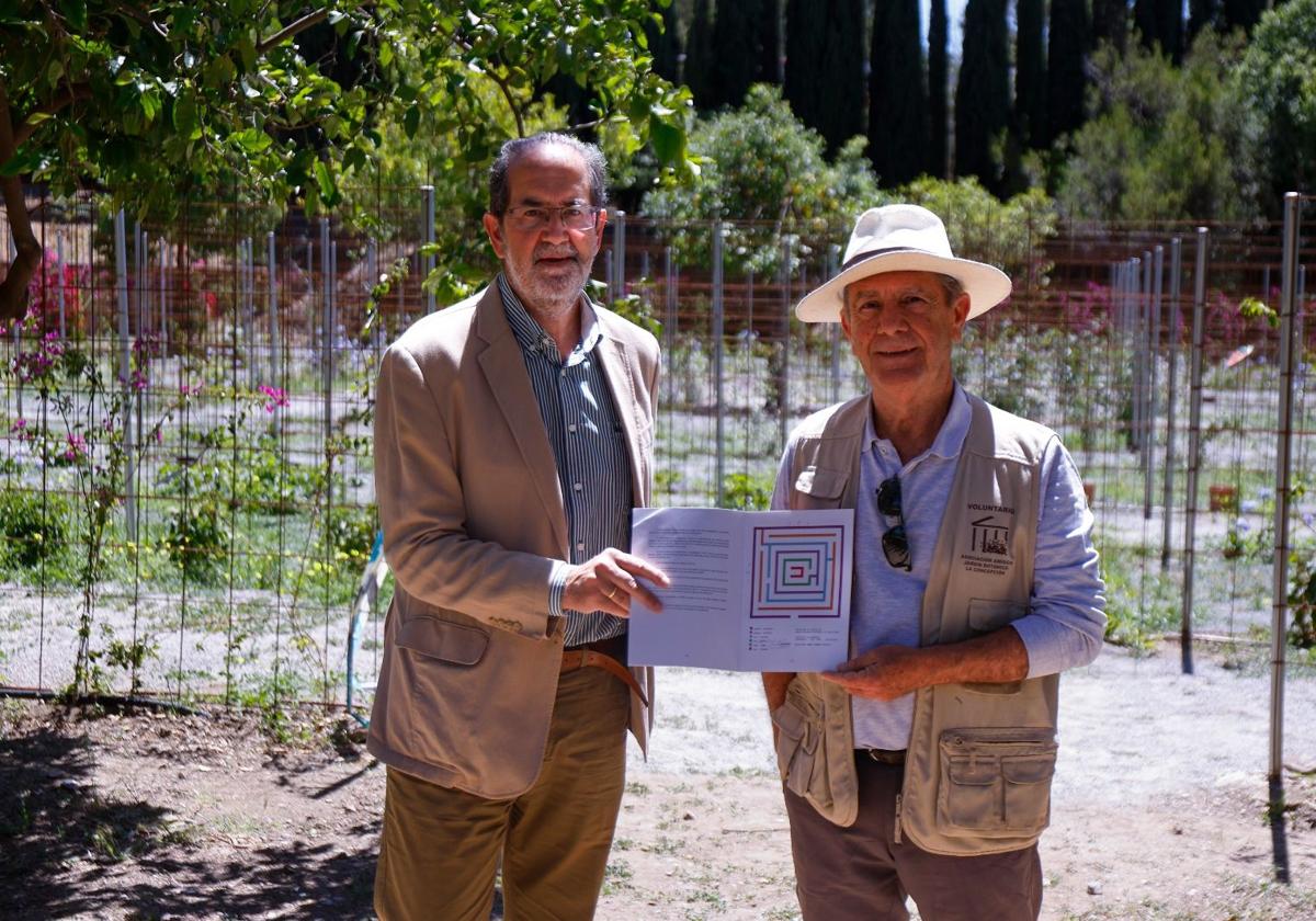 La Concepción florece aún más con la construcción de un original jardín en laberinto