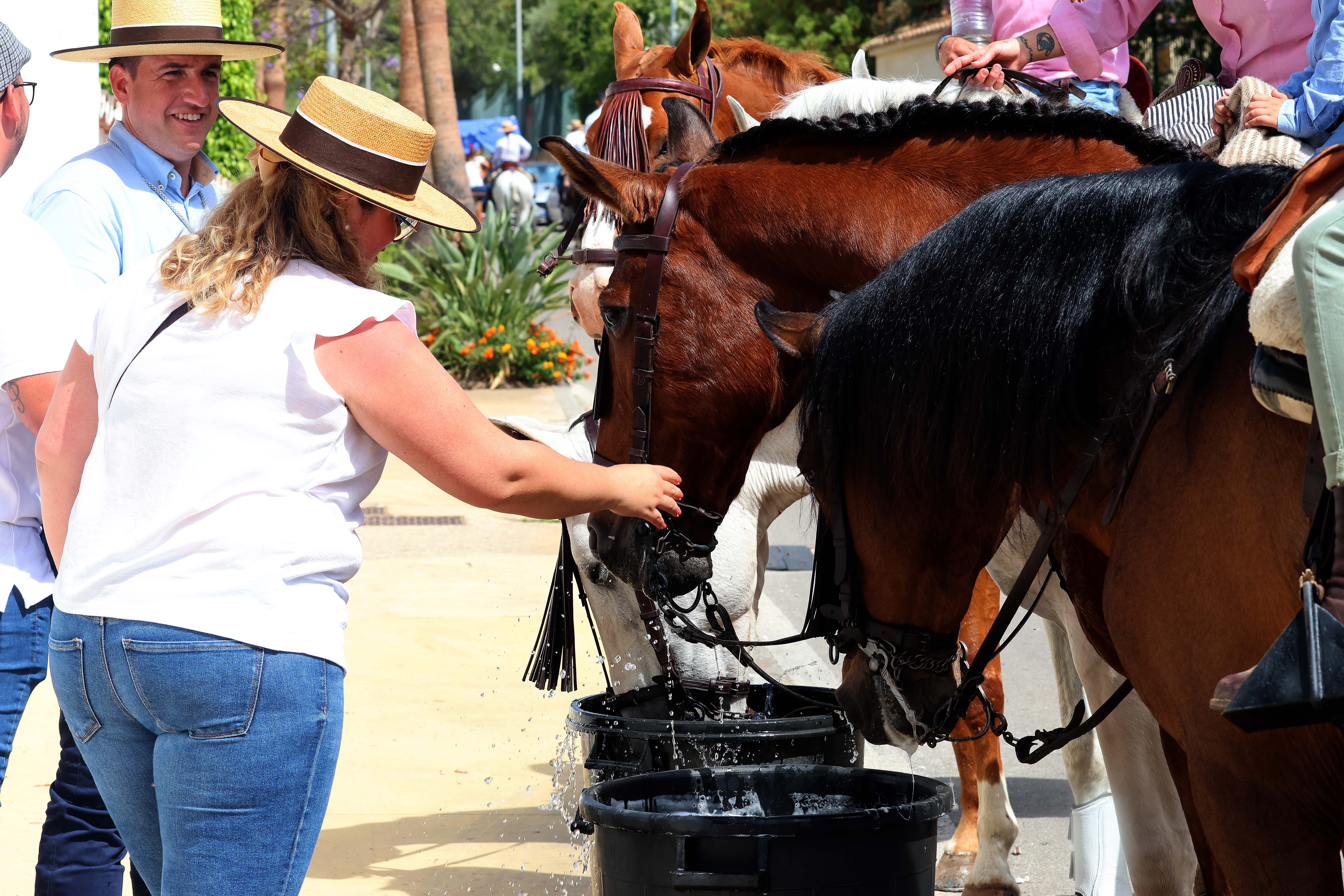 Marbella celebra su romería, preludio de la feria de San Bernabé