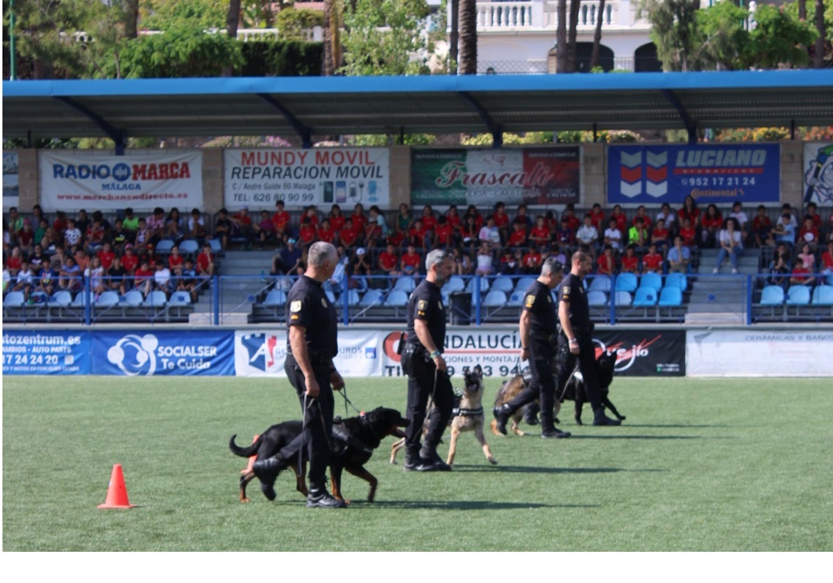 Agentes de la unidad canina K9 de la Policía Local de Torremolinos en Alhaurín de la Torre.