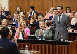 Juanma Moreno se dirige al Grupo Socialista durante una de sus intervenciones.